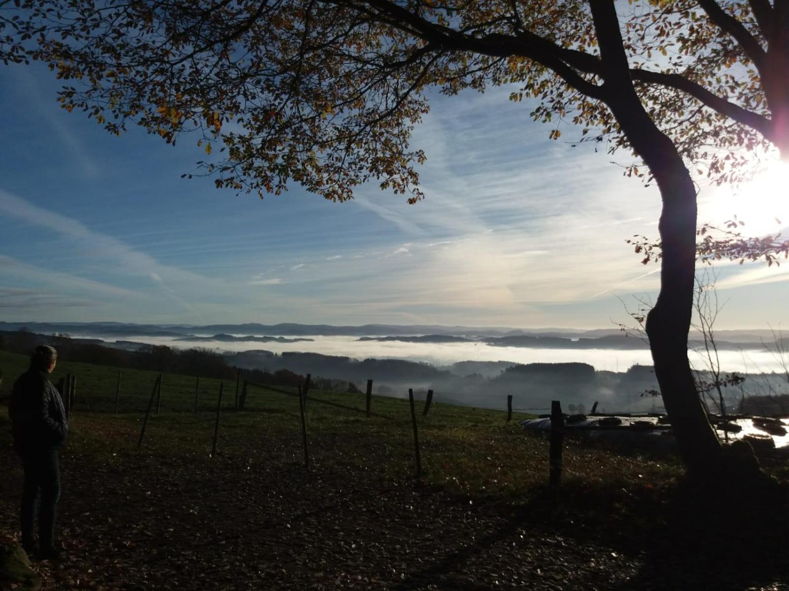 Attendorner Burgblick